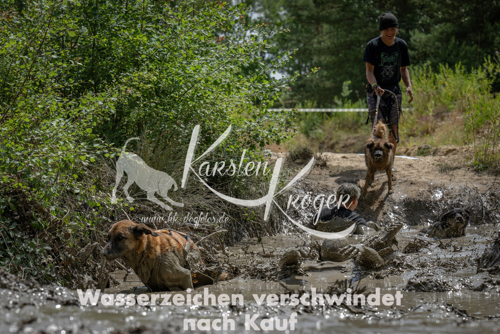 1437_ZZ93386 | kk-dogfotos