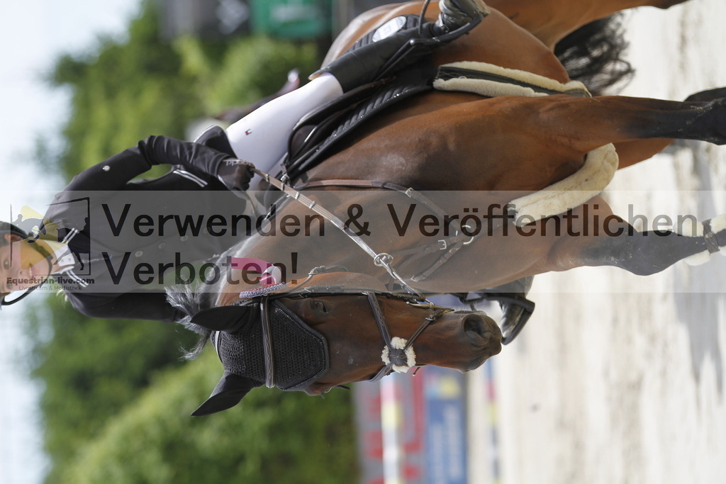 _MG_9508 | equestrian-live-com