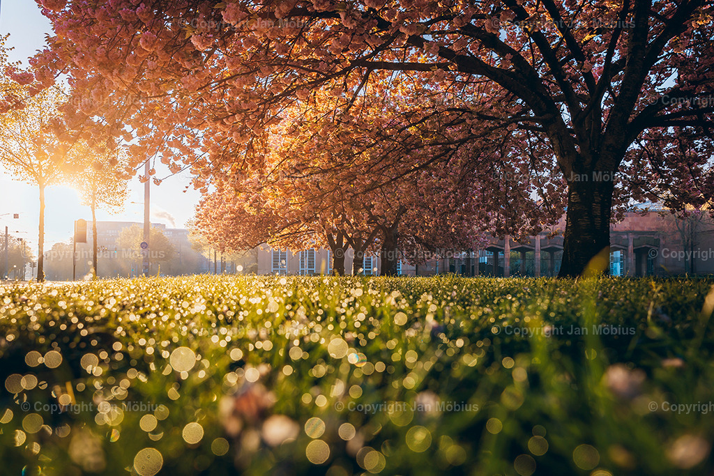 _DSC1742 | Leipzig Wandbilder Drucke Prints Leinwand Stadtmotive Leipzig Fotosdruck Kunstdrucke Bilder Leipzig Stadtansichten Acrylglasbilder Leipzig Wanddeko Fine Art Prints Wandbilder Büro Leipzig Bilder Praxis Zuhause Bilderdruck Poster Posterlounge Kunstdrucke - Realisiert mit Pictrs.com