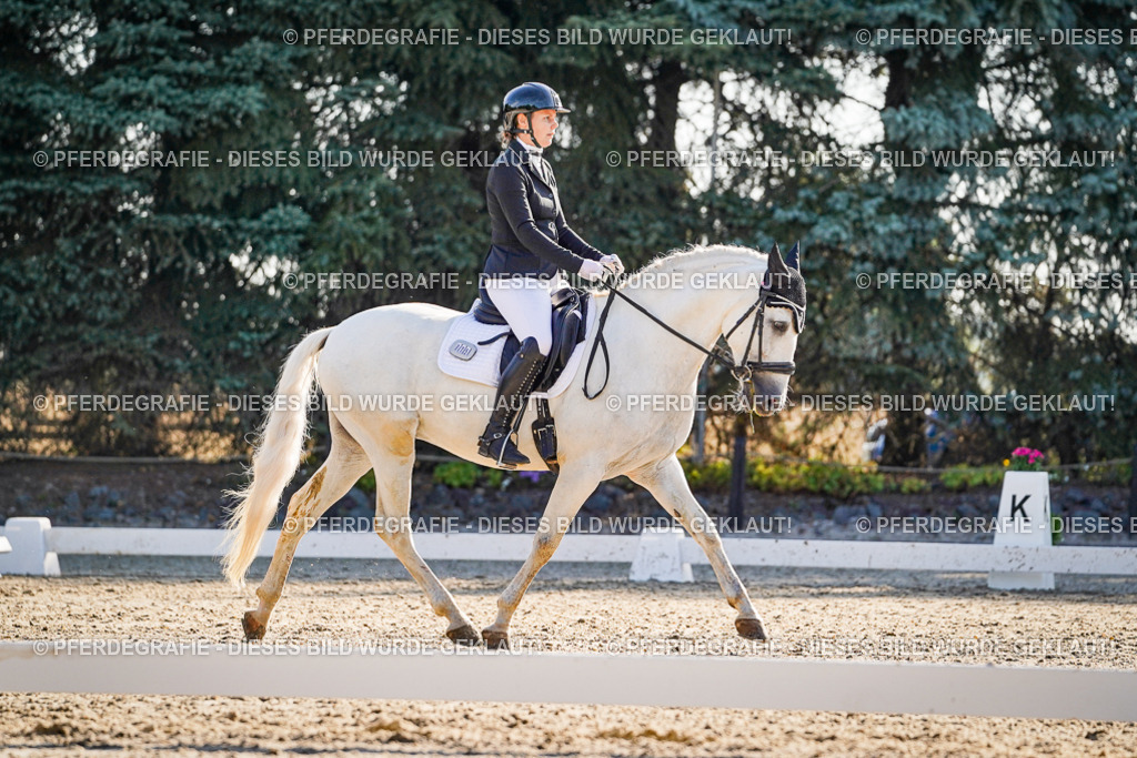 DSC08764 | Pferdegrafie