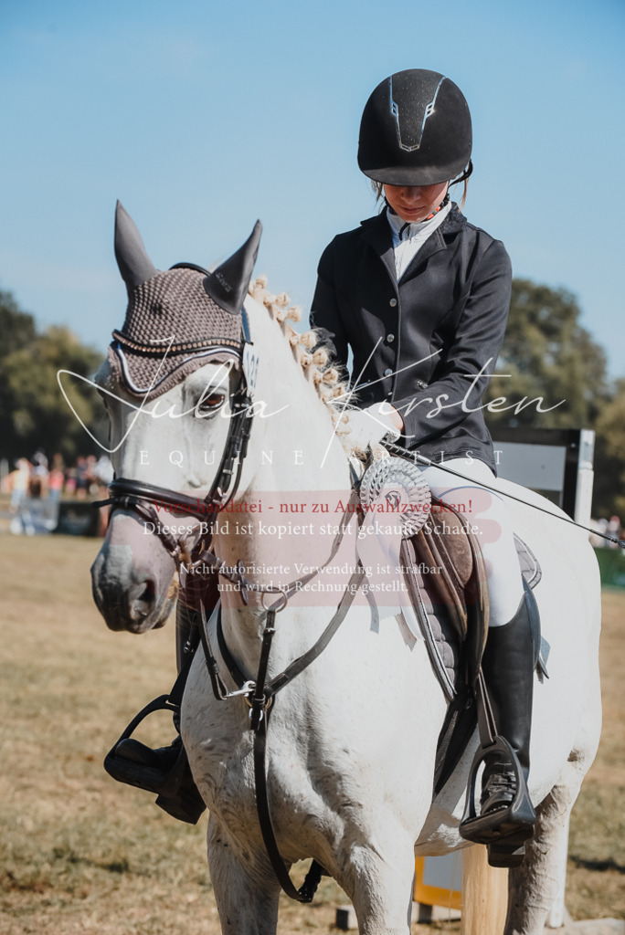 DSC_6393 | Pferde- und Turnierfotografie in Westsachsen. Pferdeportraits, Auftragszeichnungen und intuitive Kunst.