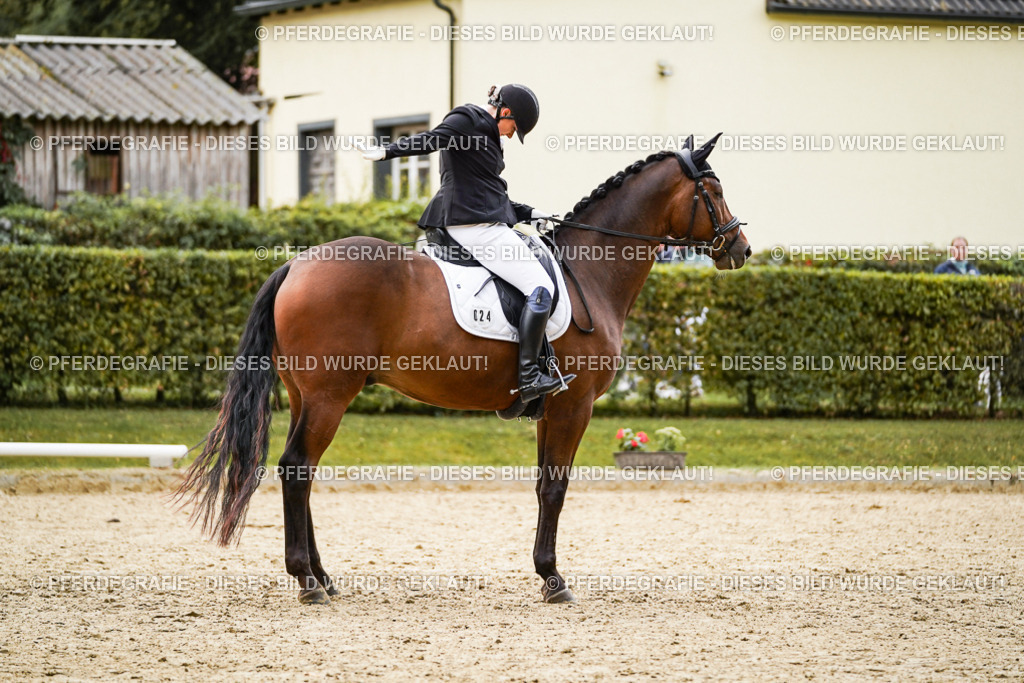 DSC09067 | Pferdegrafie