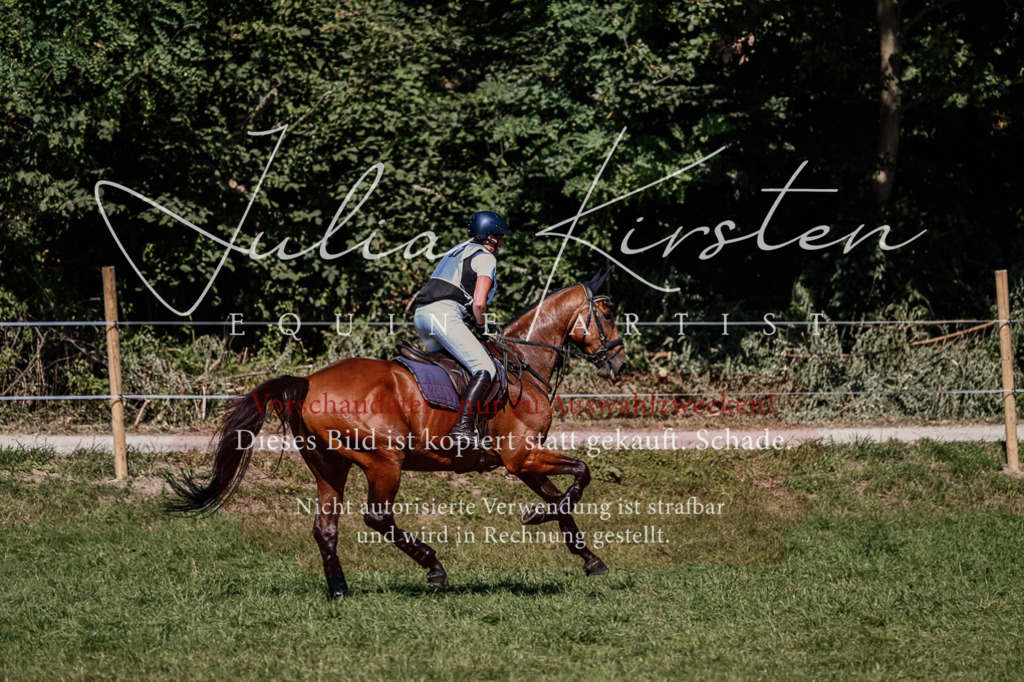 DSC_1998 | Pferde- und Turnierfotografie in Westsachsen. Pferdeportraits, Auftragszeichnungen und intuitive Kunst.