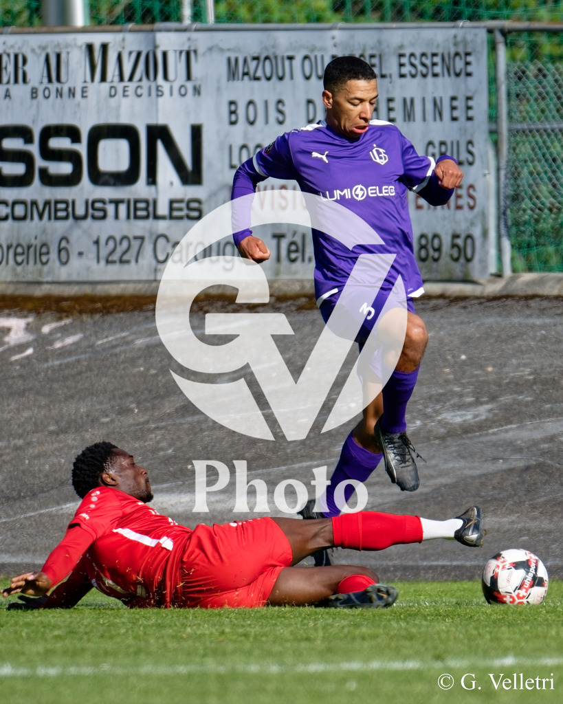 DSC_7138 | Velletri Photo