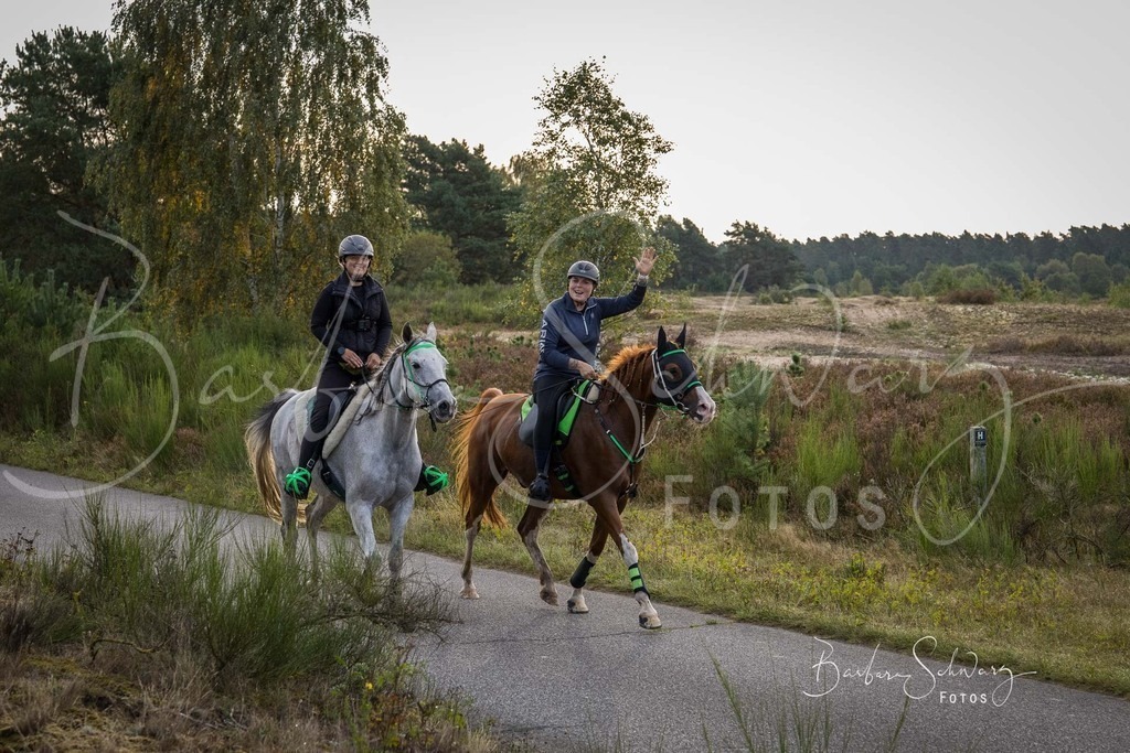 DdLH-TrotBy_2025-09-20_28 | Fotografie, Veranstaltungs-Fotografie, Pferde-Fotografie, Landschafts-Fotografie, Reise-Fotografie - Realisiert mit Pictrs.com