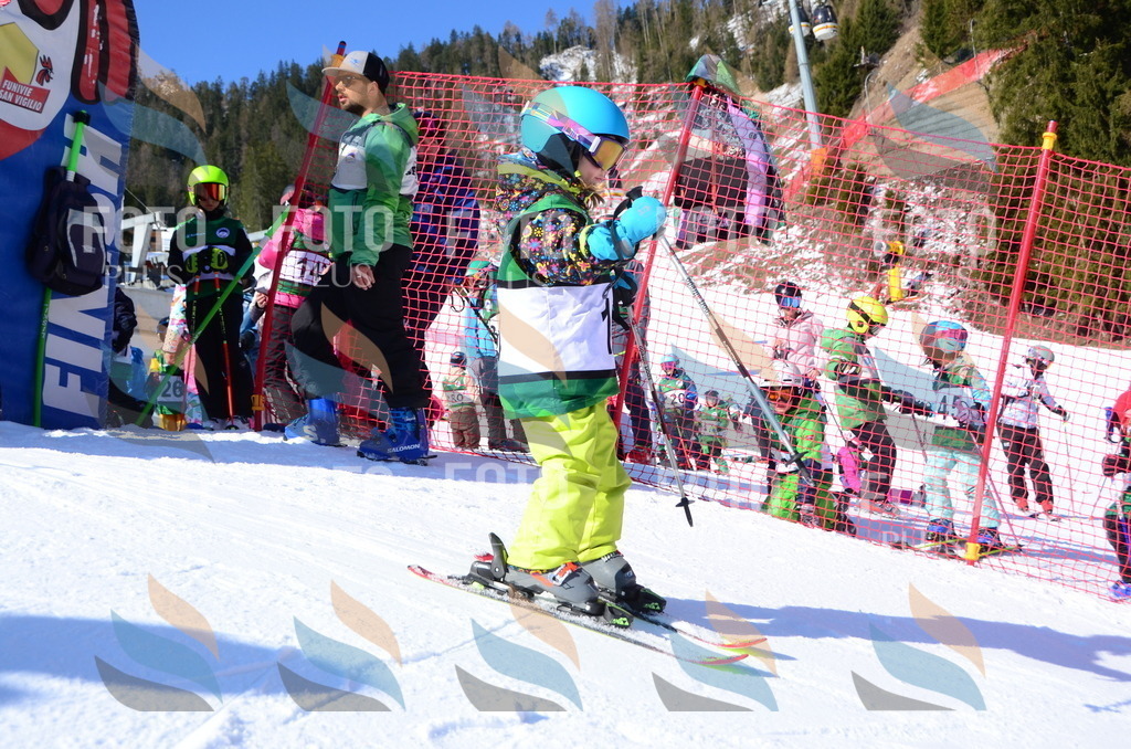 C4696 | holidayphoto