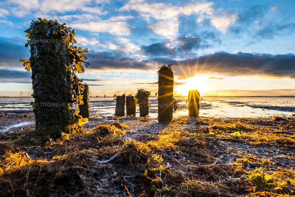 _1019655 | thowehey - Realisiert mit Pictrs.com