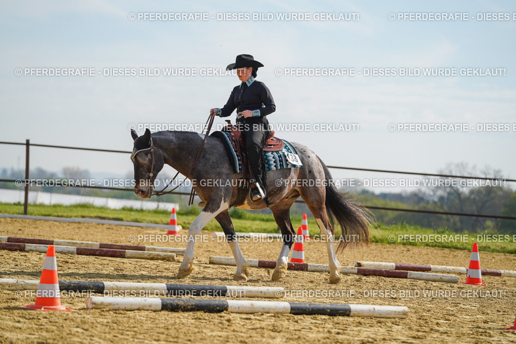 DSC01160 | Pferdegrafie