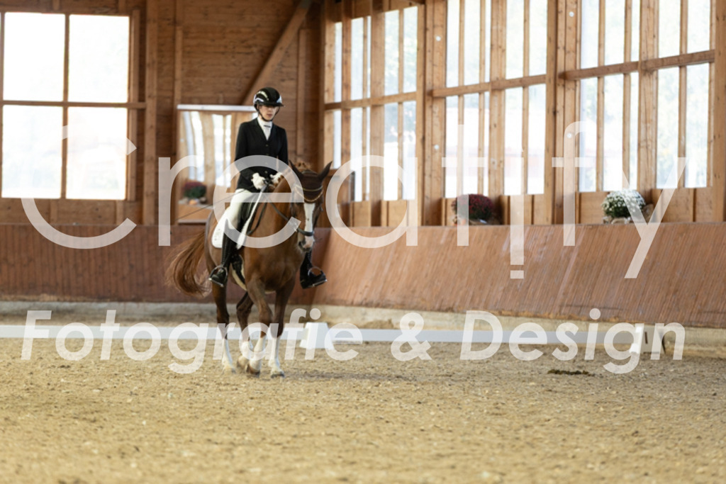 IMG_5203 | Creatify Fotografie