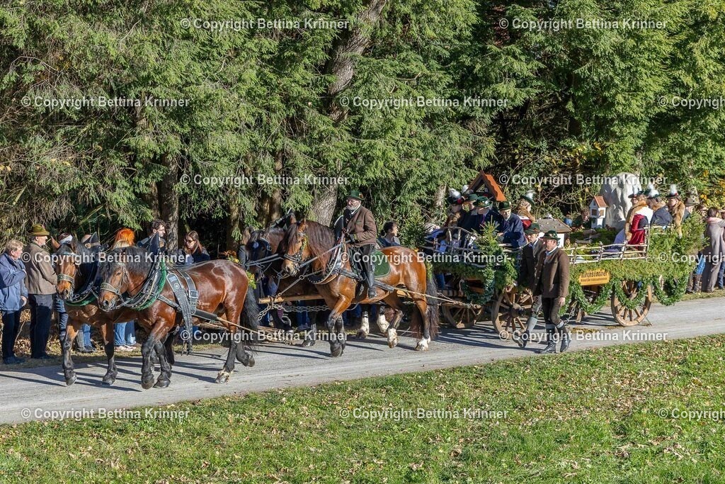 LBT25-513 | foto-bettina-krinner - Realisiert mit Pictrs.com