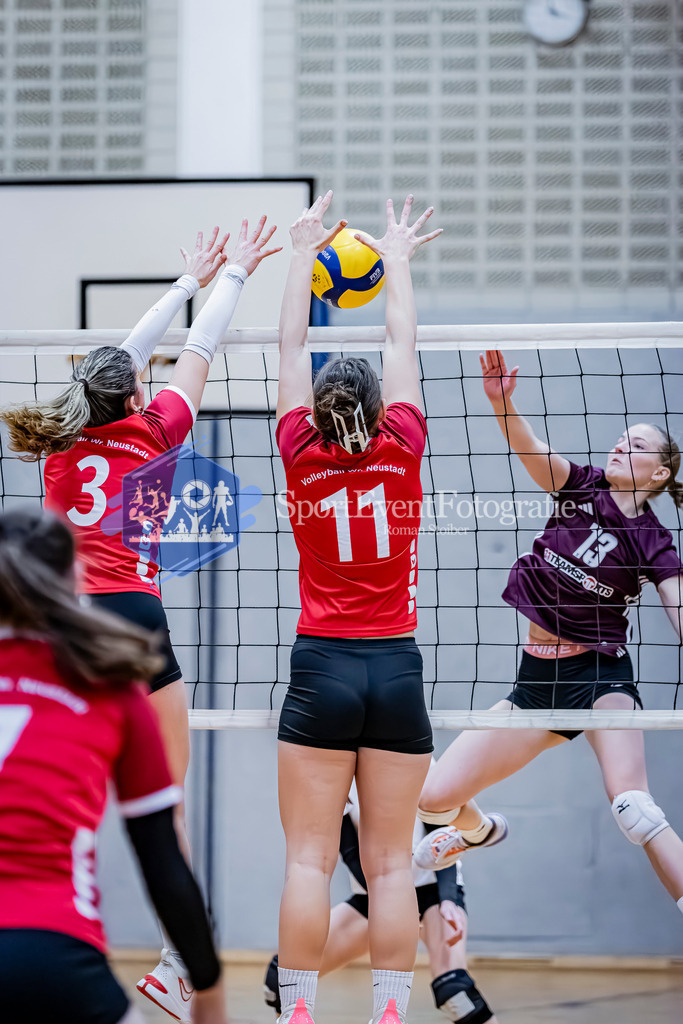 IMAG2152 | SportEventFotografie - Roman Stoiber