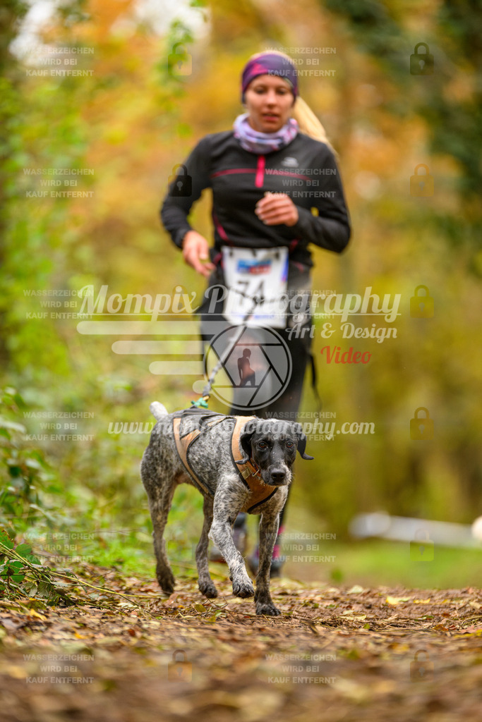 MompixPhotography_Bischwiller24_SA_Canicross-108 | mompixphotography