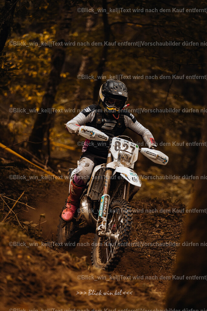 E68A5289 | blick_win_kel