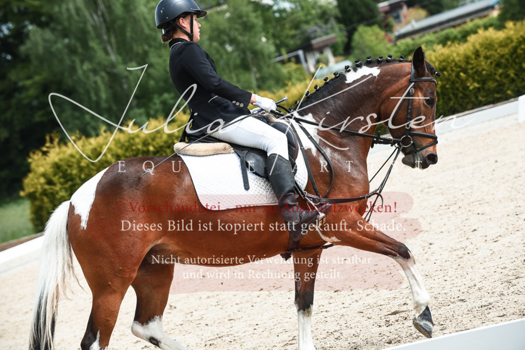 20230518_JK-Röhrsdorf-11-0201 | Pferde- und Turnierfotografie in Westsachsen. Pferdeportraits, Auftragszeichnungen und intuitive Kunst.