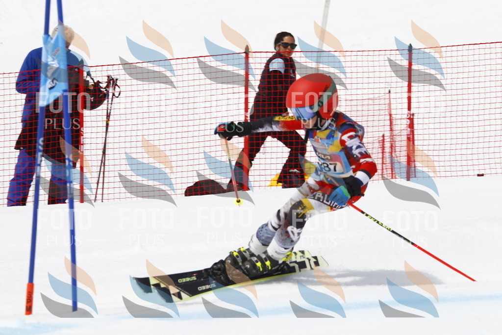 _U3G7205 | holidayphoto