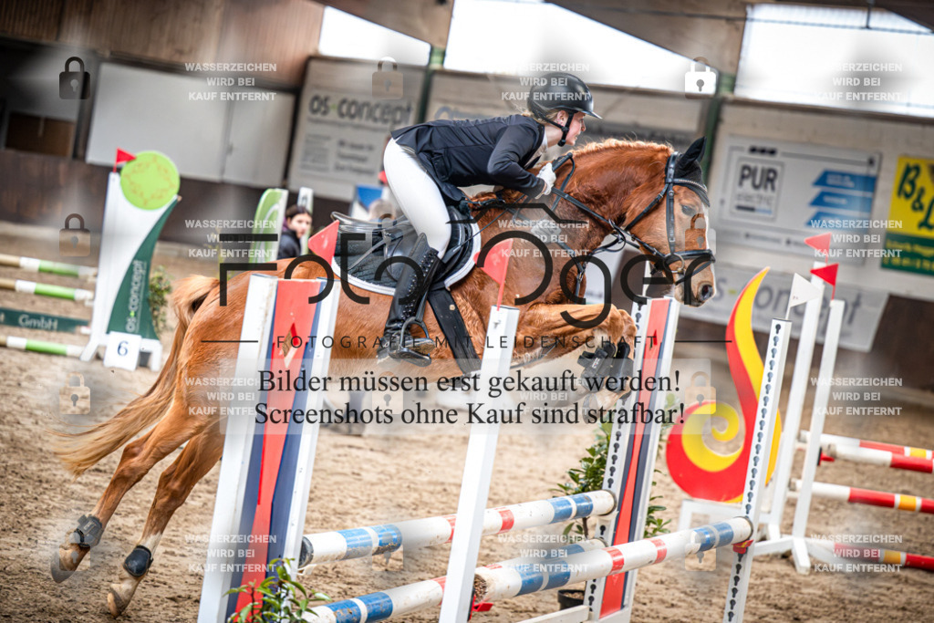 DOS_0601 | Entdecke hochwertige Reitturnierfotos von Foto Oger. Professionell, emotional und authentisch – jetzt Lieblingsmomente im Shop bestellen.Deutschlandweite Turnierfotografie. - Realisiert mit Pictrs.com