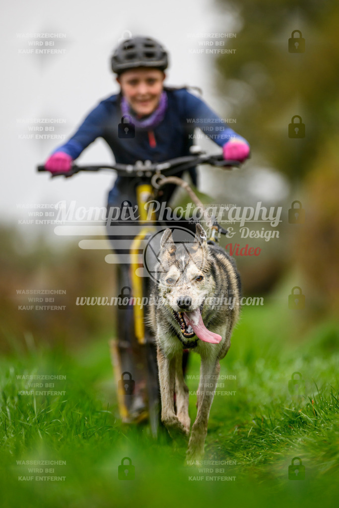 MompixPhotography_20TSB_E8_DS1-51 | PayLife