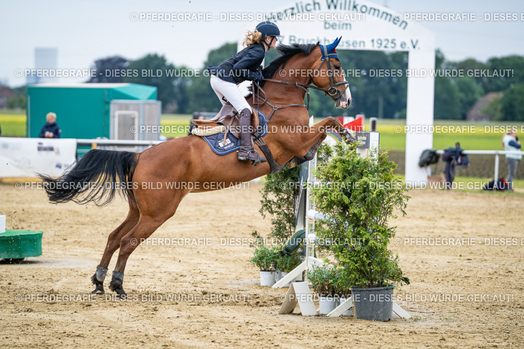 DSC05224 | Pferdegrafie