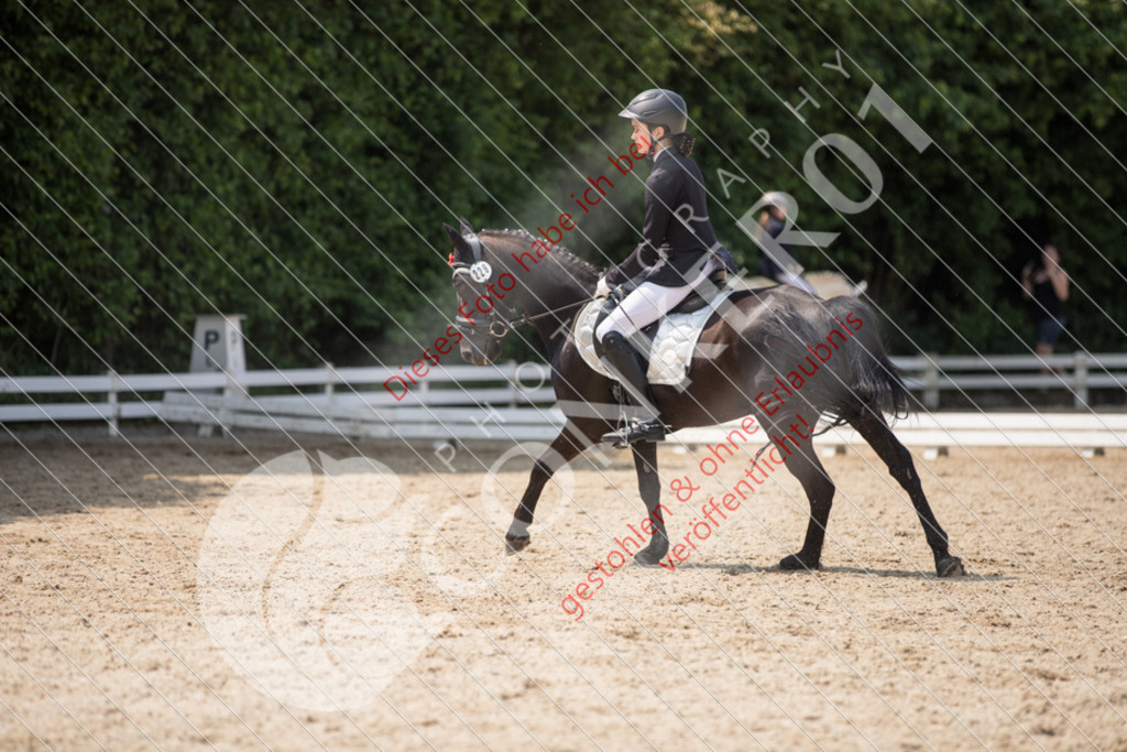 IMG_3642 | Sport-, Event- und Tierfotos in Profiqualität. Einfach auswählen, bestellen und herunterladen. Dein Moment – perfekt festgehalten.
