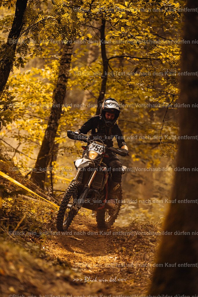 E68A3992 | blick_win_kel