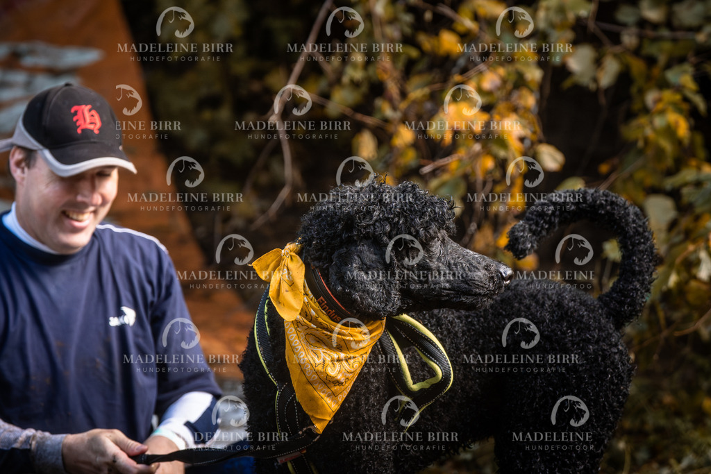madeleinebirr-fotografie2025.campcanis.sa.15-16Uhr-424 | hundefotografie-birr