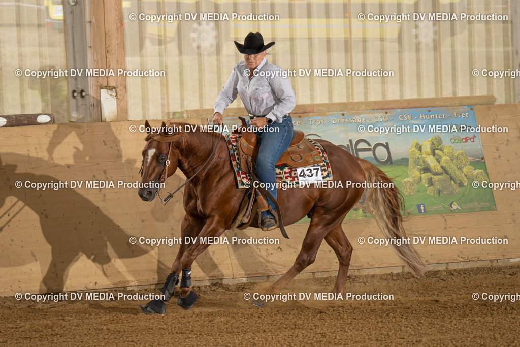 LAU01815 | dv-media-shop - Realisiert mit Pictrs.com