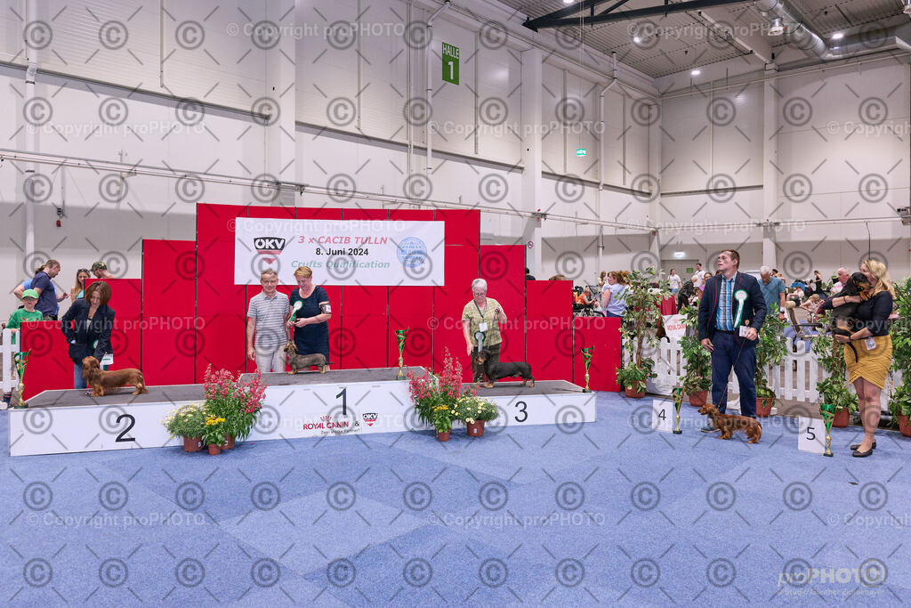 202406_ÖKV-IHA-Tulln24_NZ9_8679 | proPHOTO - Realisiert mit Pictrs.com