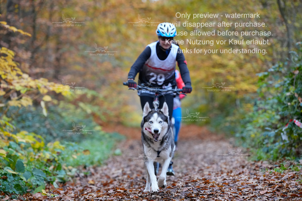 Scooter_So-67 | stephaniefillaphotographie - Realisiert mit Pictrs.com