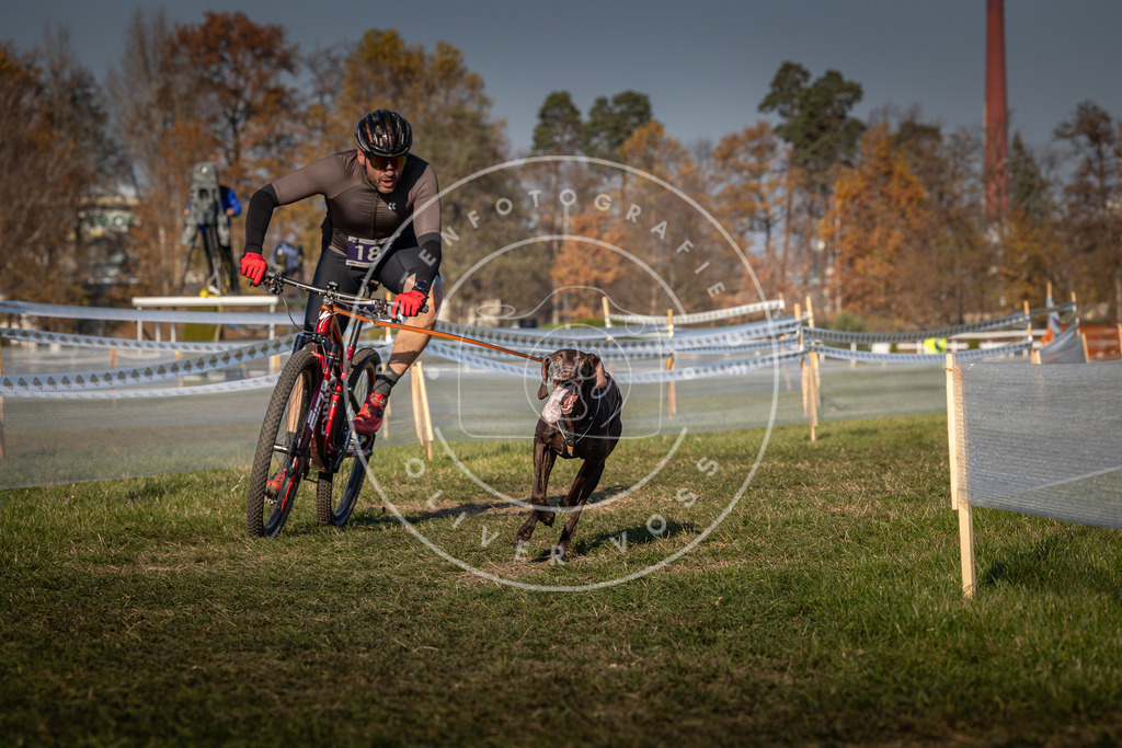 CaniXpix_0L8A6126 | Hundefotografie, Tierfotograf, Pfotenfotografie, Fotoshooting Hund, Hunde Portrait, Hundesport, Hundeportraits, Heideshooting, Hunde, Sportfotograf, Hundefotograf, Turnierhundsport, THS,  - Realisiert mit Pictrs.com