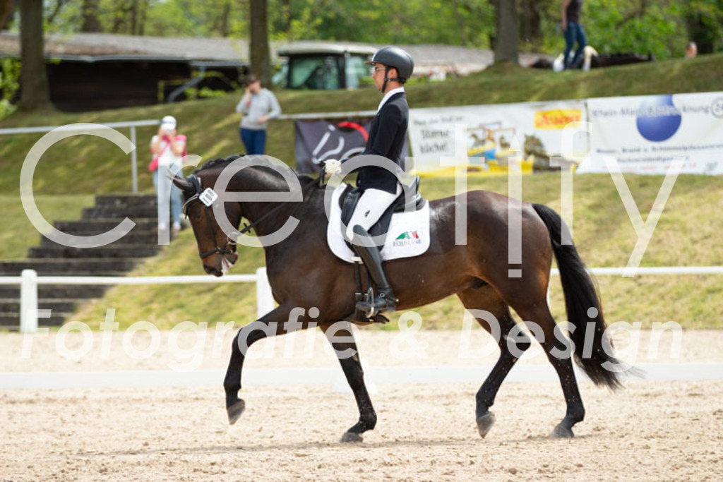 IMG_2739 | Creatify Fotografie