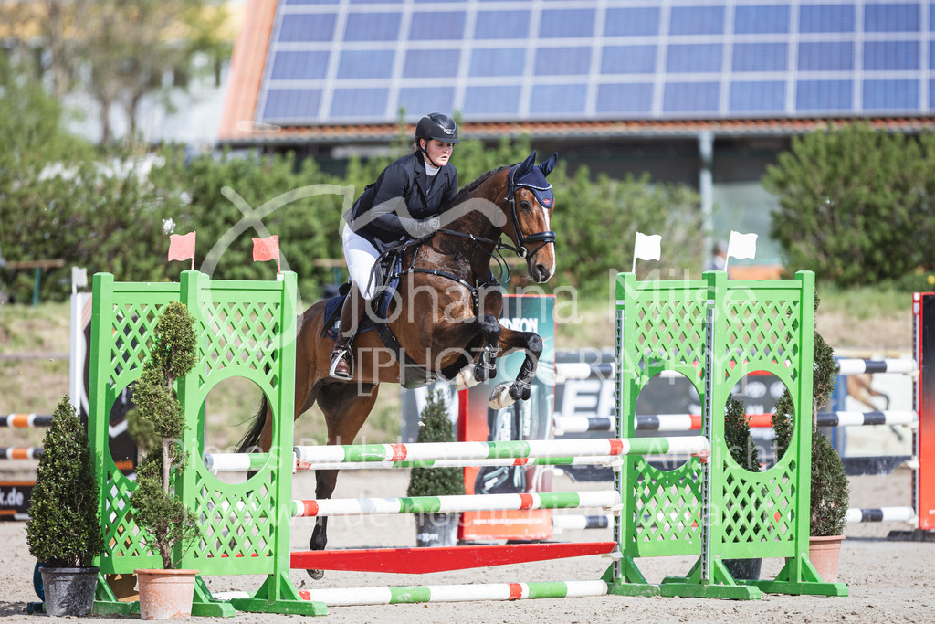 250419_Frühlingsfest_A-Stil1-470 | Deine schönsten Turniermomente als professionelle Fotos! Entdecke hochwertige Pferdesport-Fotografie im Online-Shop. Jetzt Fotos finden & bestellen!