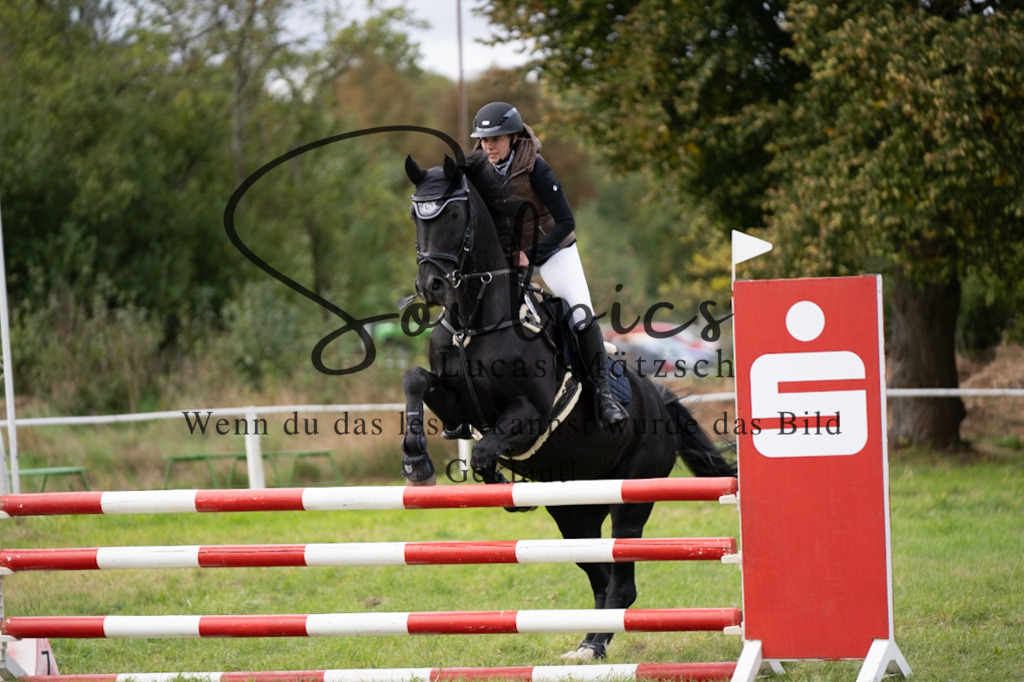 A7V06735 | Pferdefotograf