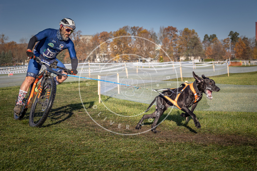 CaniXpix_0L8A4415 | Hundefotografie, Tierfotograf, Pfotenfotografie, Fotoshooting Hund, Hunde Portrait, Hundesport, Hundeportraits, Heideshooting, Hunde, Sportfotograf, Hundefotograf, Turnierhundsport, THS,  - Realisiert mit Pictrs.com