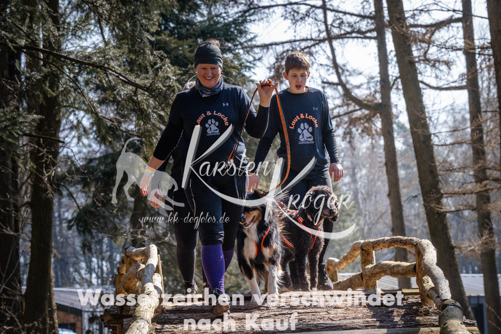 1337_ZZ95797 | kk-dogfotos