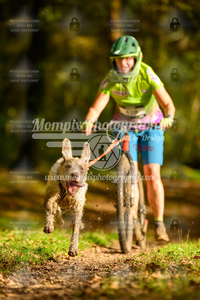 MompixPhotography_20TSB_E1_DS1-34 | PayLife