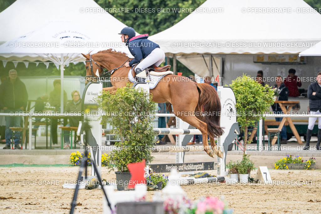 DSC00947 | Pferdegrafie