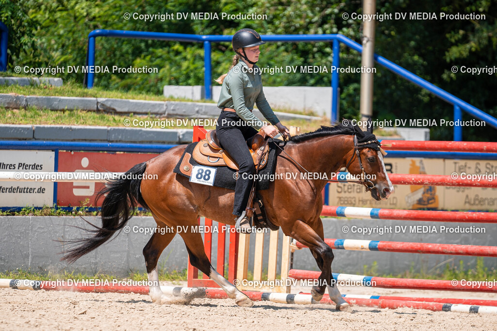 Zeiskam Tag 1-570 | dv-media-shop - Realisiert mit Pictrs.com