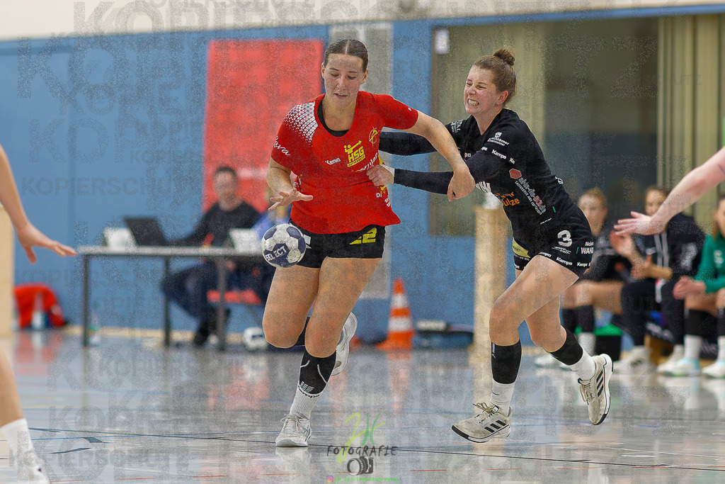 Frauen Regionalliga (HHV); HSG Wettenberg - HSG Twistetal | Frauen Regionalliga (HHV); HSG Wettenberg - HSG Twistetal am 08.11.2025 in Launsbach (Wettenberg) (Halle GS Launsbach (Wettenberg))Photo © 2025 - Jörg Heinrich - Realisiert mit Pictrs.com