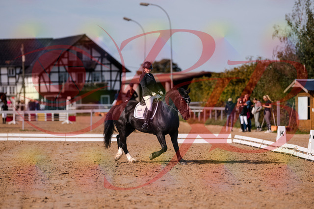 2026_10_03_Siefer-Hof_120644_Z81_07592900 | Professionelle Reitsport-, Turnier- und Eventfotografie von Robert Broda. Galerien mit ausgewählten und bearbeiteten Bildern direkt online ansehen und bestellen.