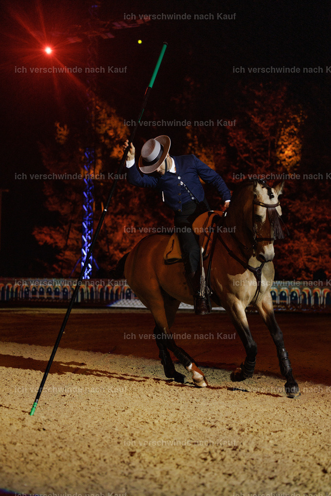 FHClassics-175 | working equitationturnier fotograf videograf stoibphotography marixx film working equitation deutschland reitsport turnierfotografie eventfotografie equestrian events