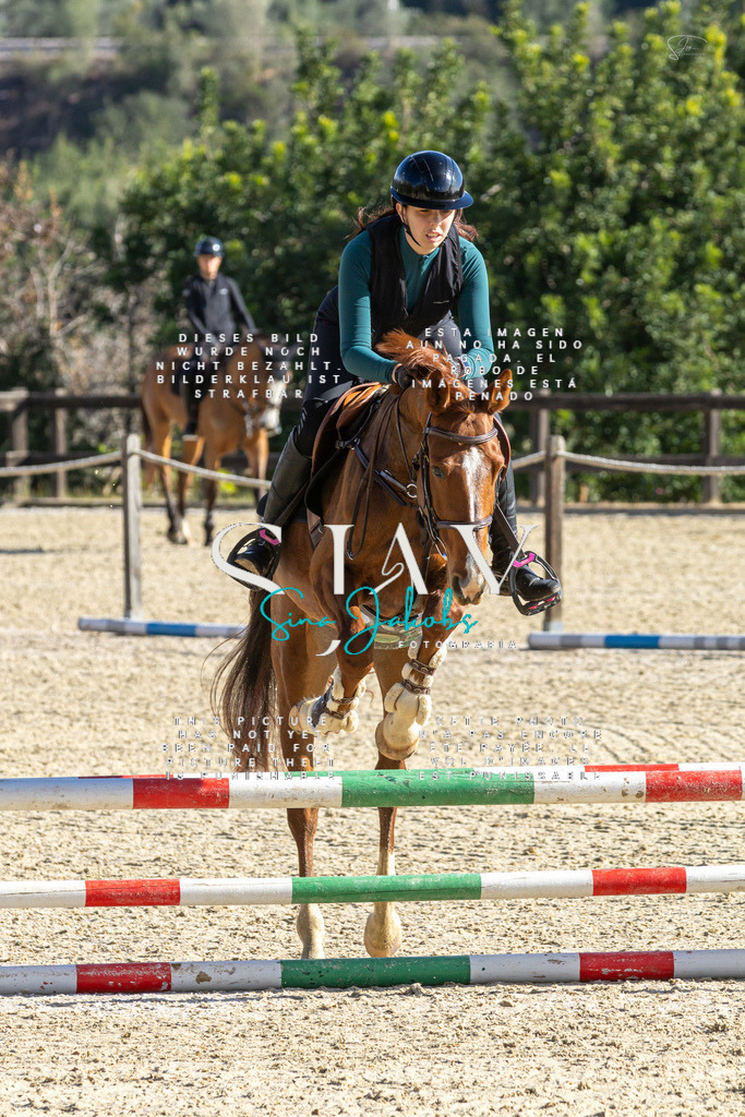 IMG_3622 | s-jay-photography - Realisiert mit Pictrs.com