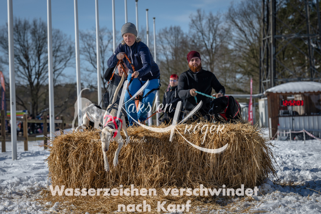1252_ZZ92831-3 | kk-dogfotos