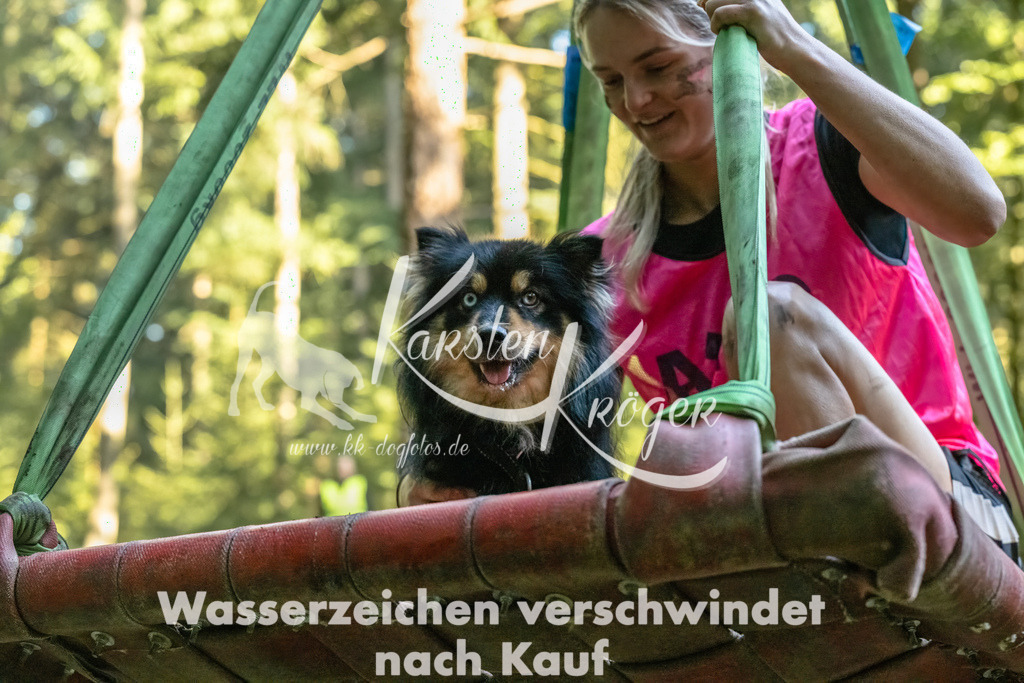 0947_ZZ91920-Bearbeitet | kk-dogfotos