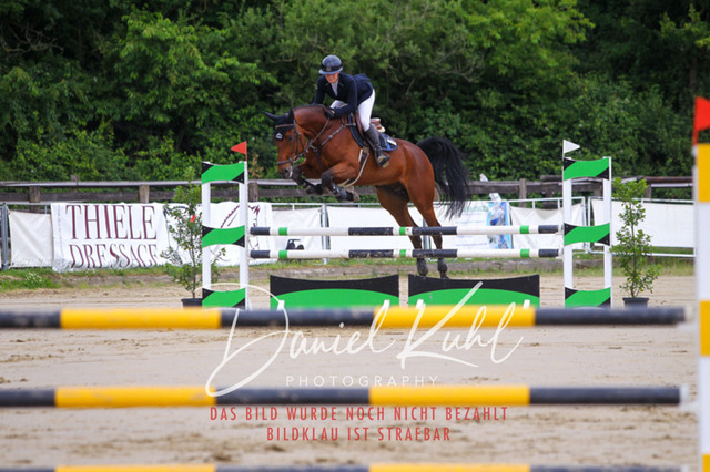 DKP41750 | Turniersportfotografie; Pferdefotografie; Dressurfotografie