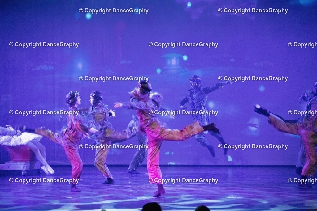 GPHY2310 | DanceGraphy - Realisiert mit Pictrs.com