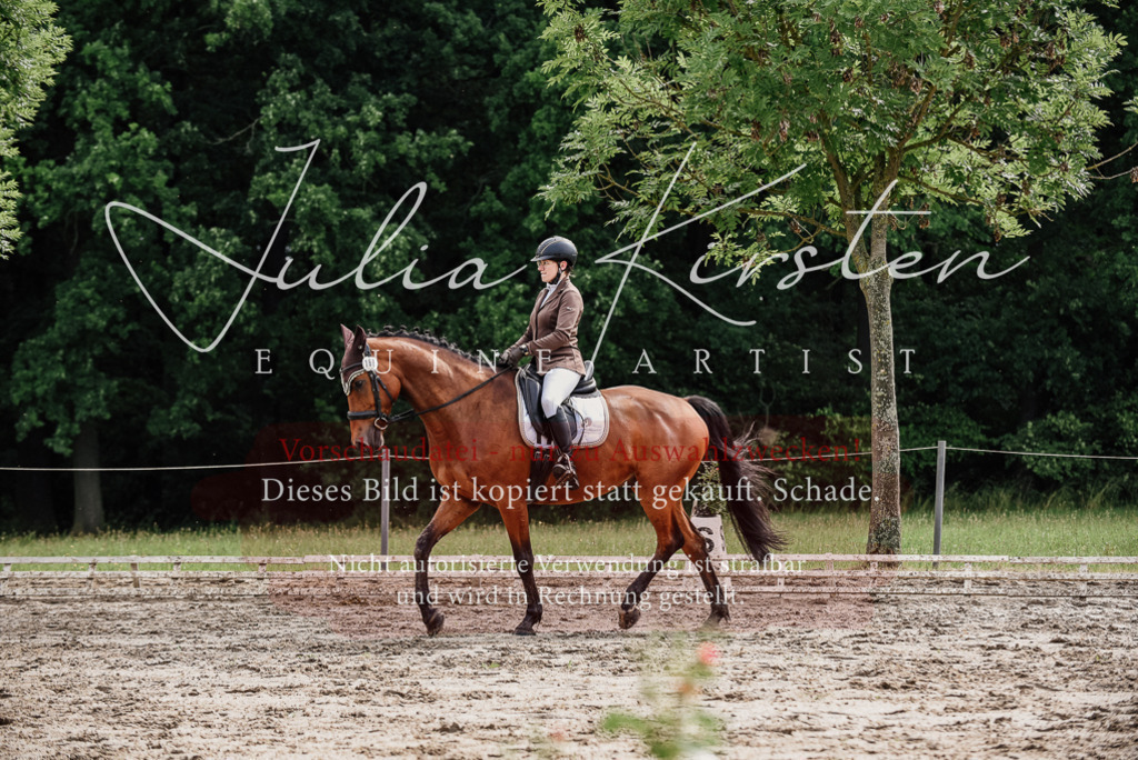 DSC_9511 | Pferde- und Turnierfotografie in Westsachsen. Pferdeportraits, Auftragszeichnungen und intuitive Kunst.