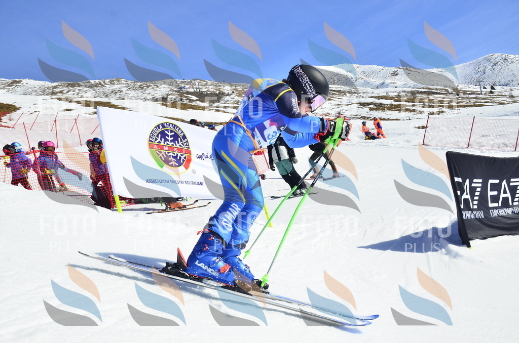 _ELE9972 | holidayphoto