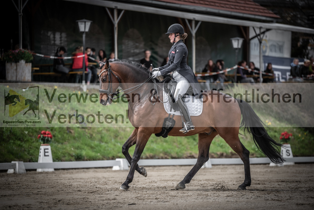 DSC_2471 | equestrian-live-com