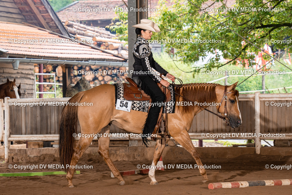 Erbach Tag 3-301 | dv-media-shop - Realisiert mit Pictrs.com