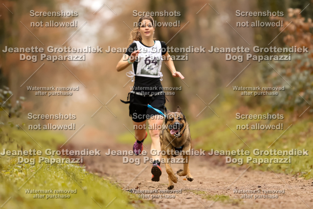 Dog Paparazzi - Speedhunter Mannheim  2025-191 | Dog Paparazzi Jeanette Grottendiek Fotografie & Videografie